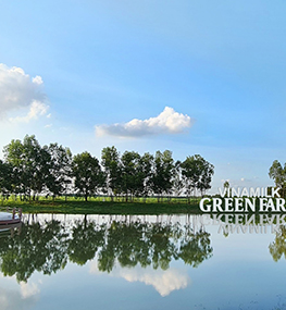 Vinamilk green farm – mô hình trang trại bò sữa phát triển bền vững